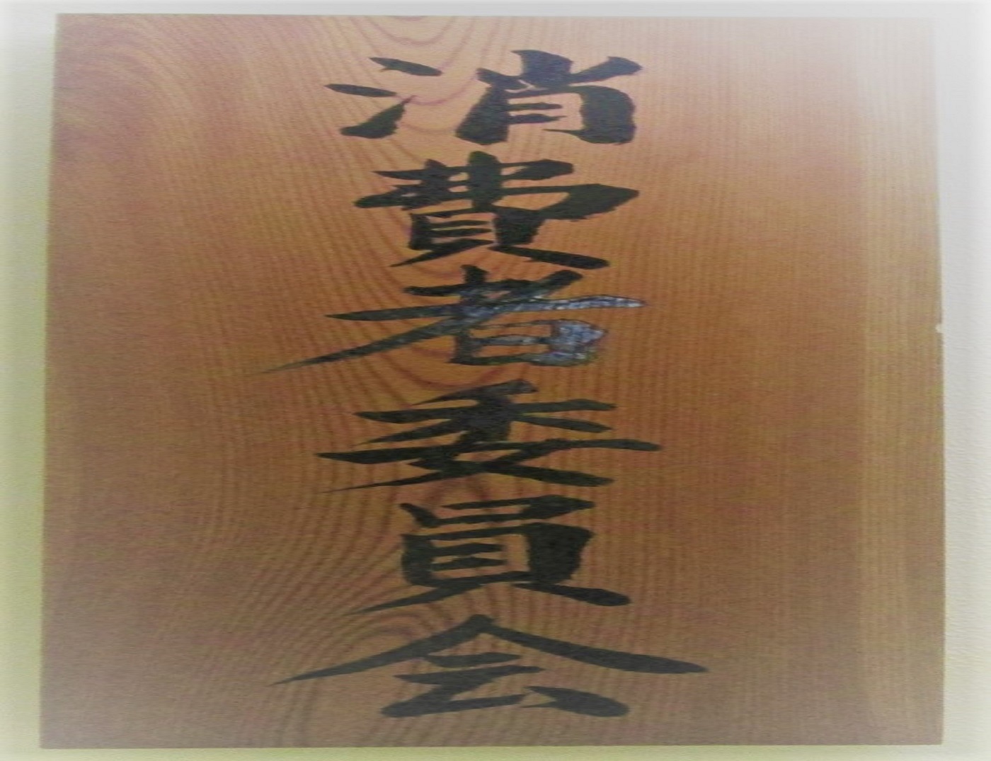 ウェルネスデイリーニュース | 特商法、公益通報者保護法案を審議 消費者委、本会議で特商法改正を答申